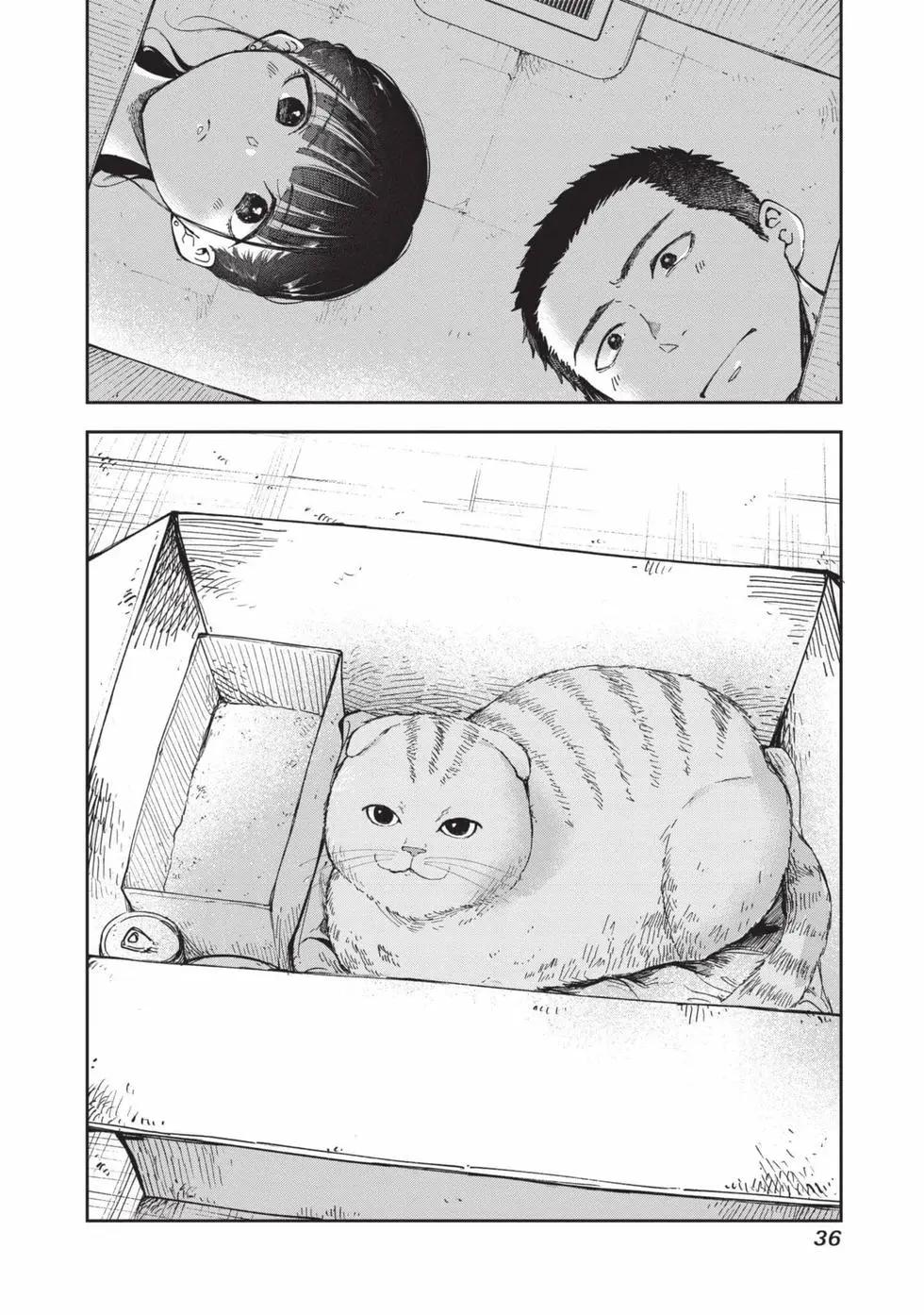 37.jpg