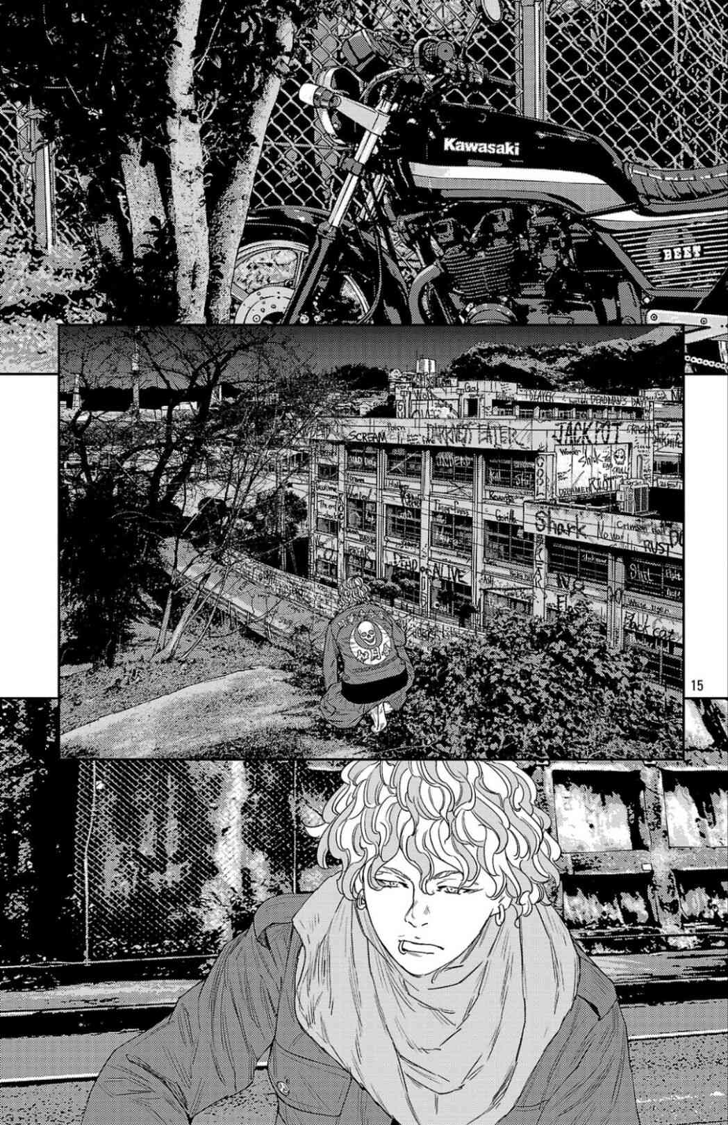 15.jpg