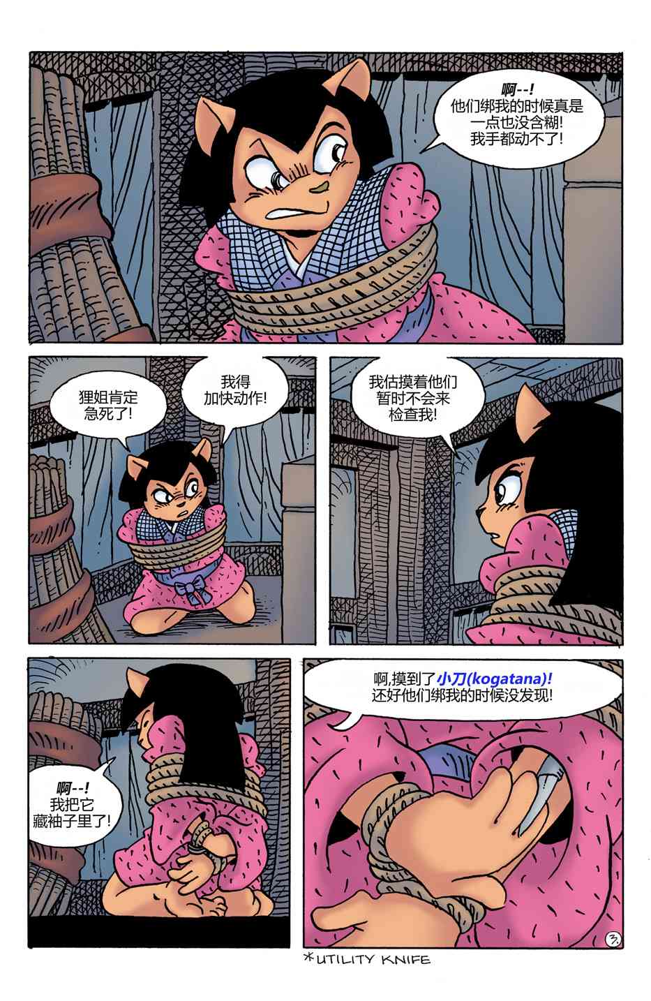 5.jpg