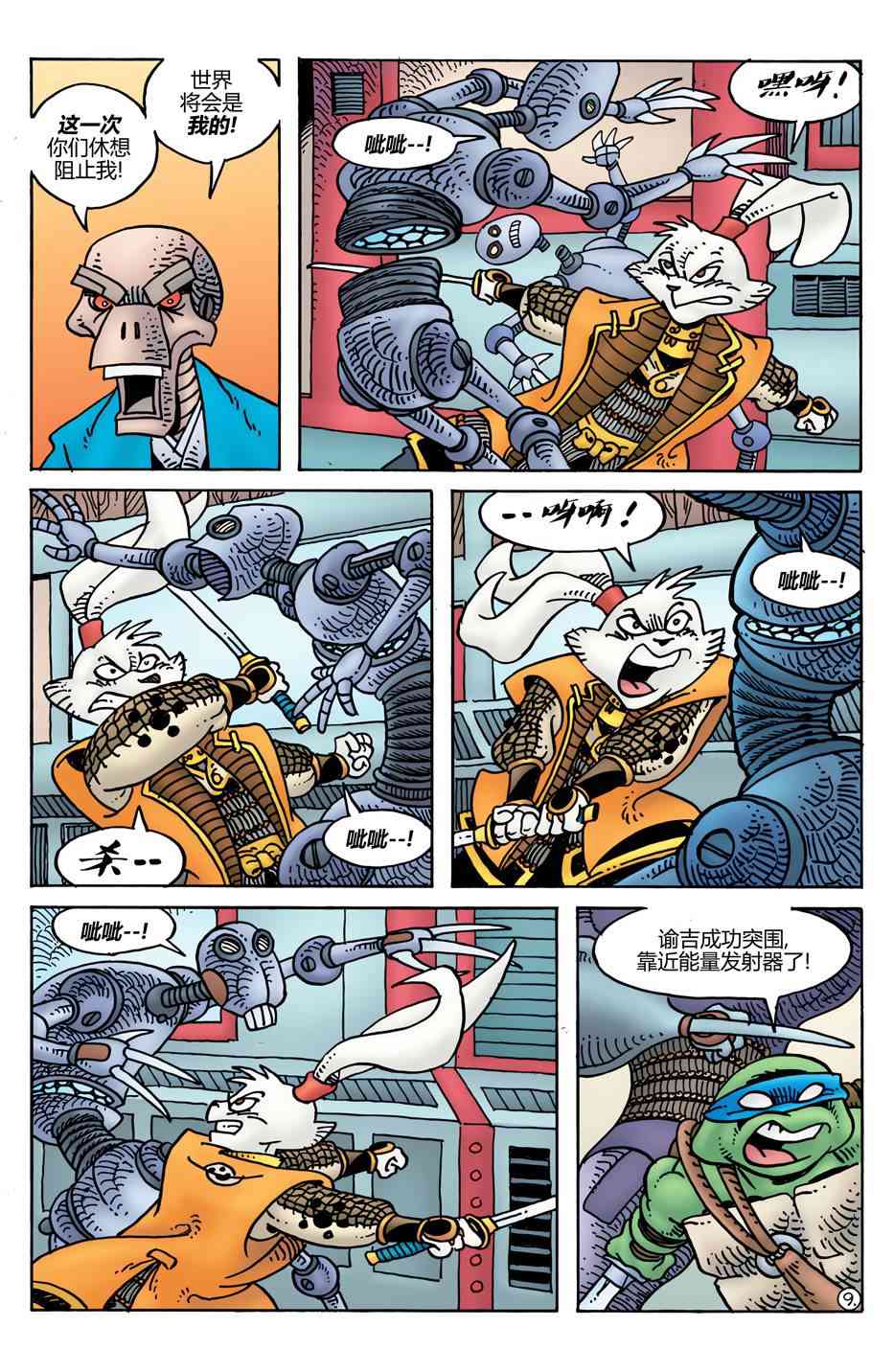 11.jpg