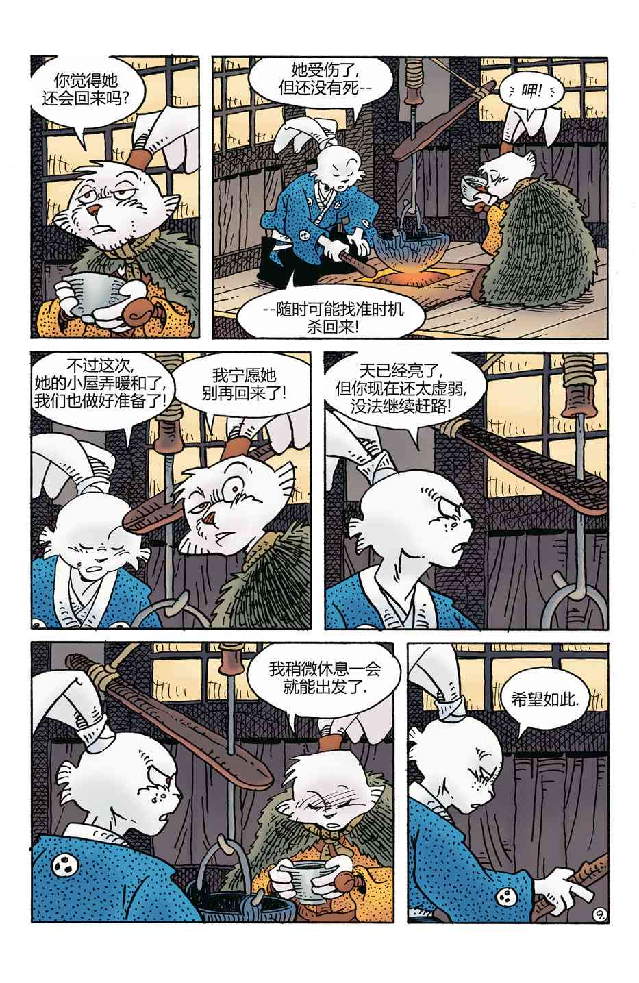 11.jpg