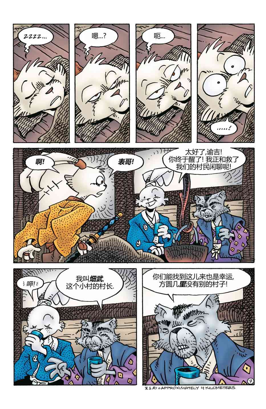 9.jpg