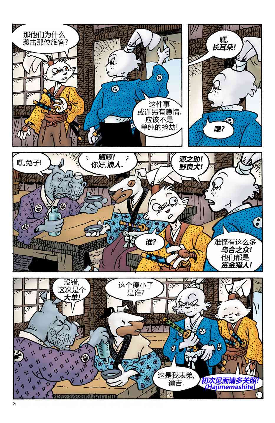 17.jpg