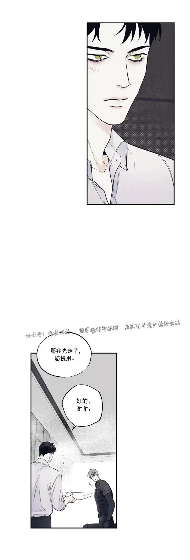 21.jpg