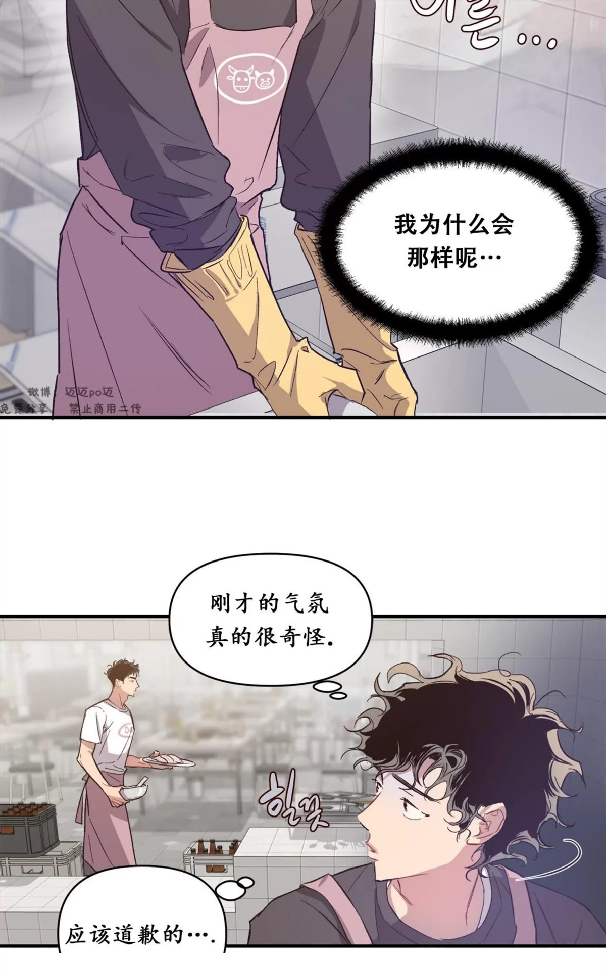 46.jpg