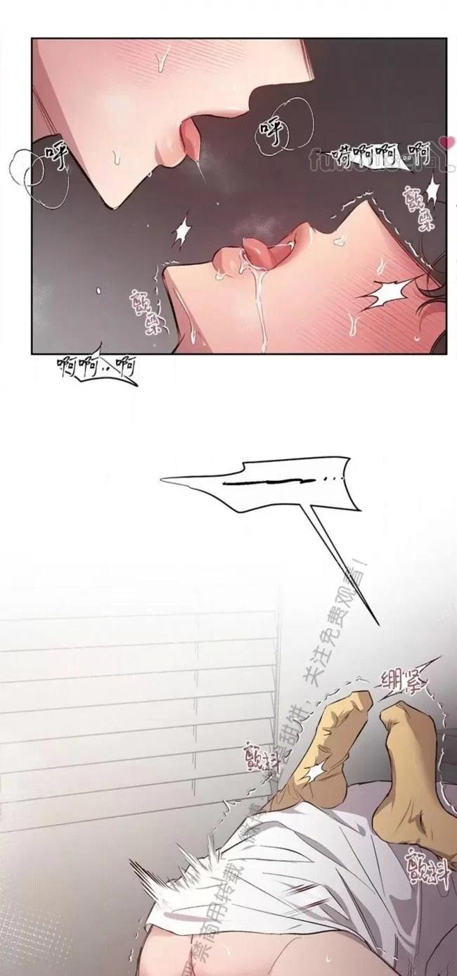 28.jpg