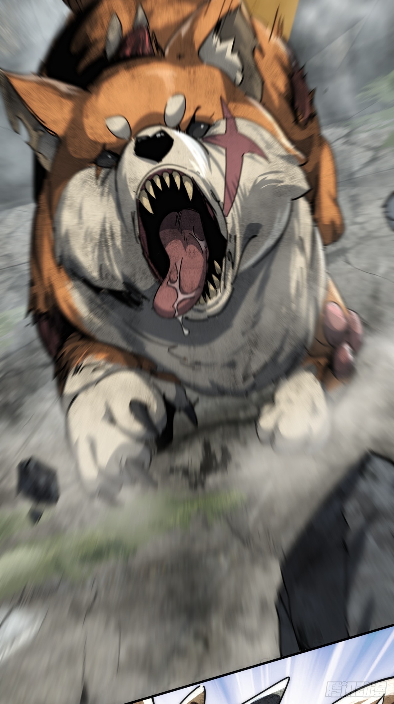 20.jpg