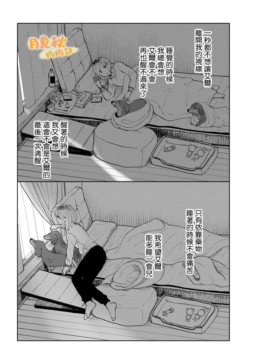 18.jpg