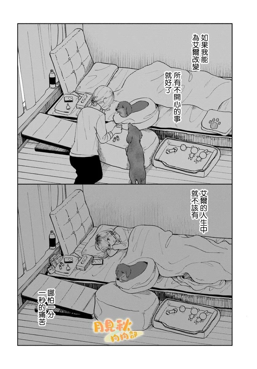 20.jpg