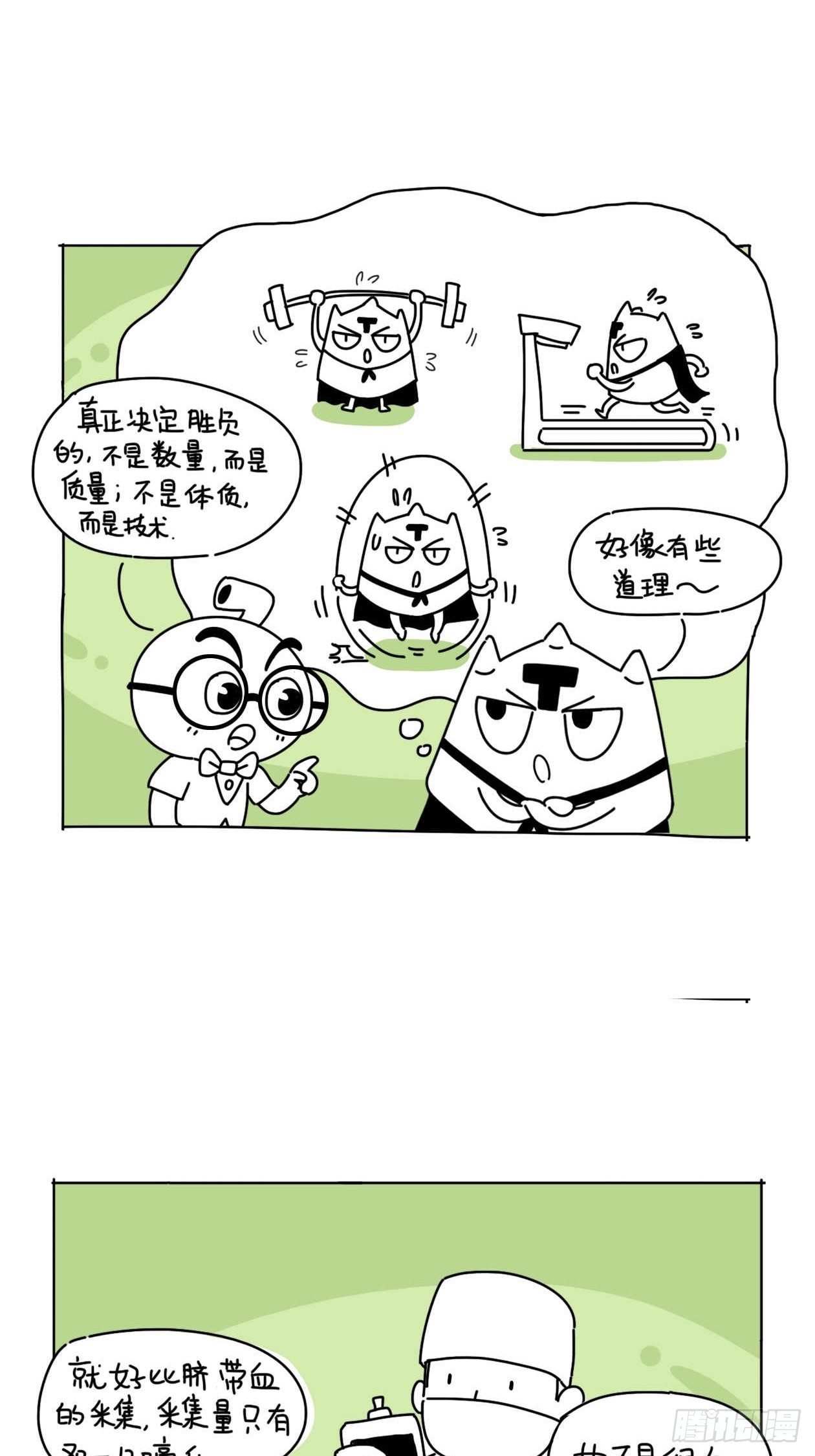 6.jpg