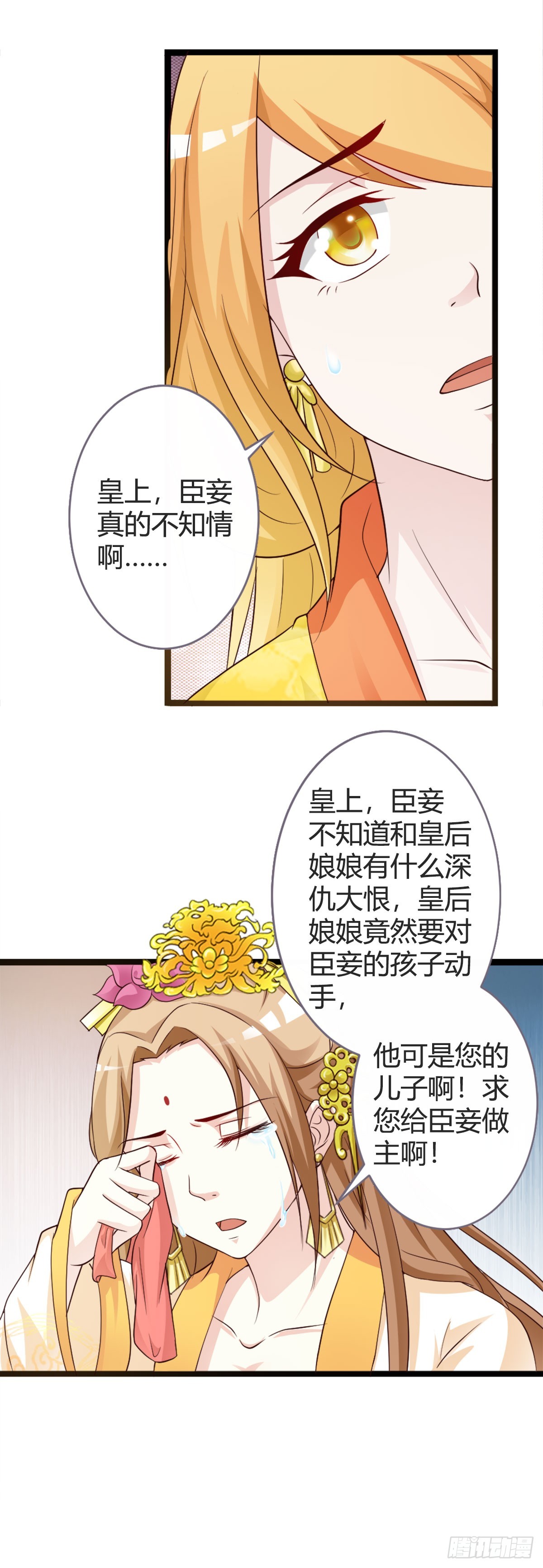 15.jpg