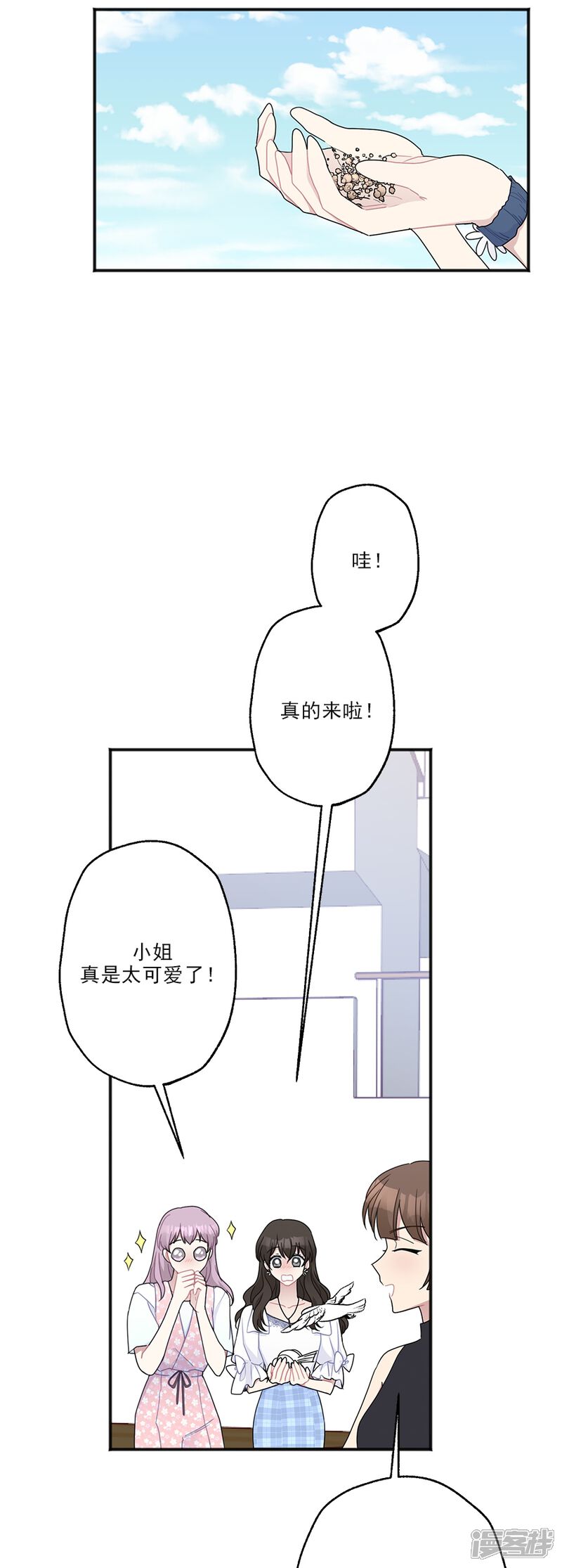 13.jpg
