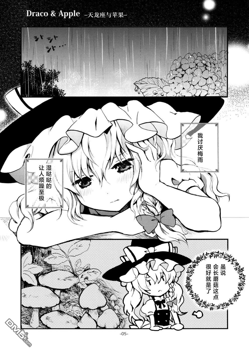 5.jpg