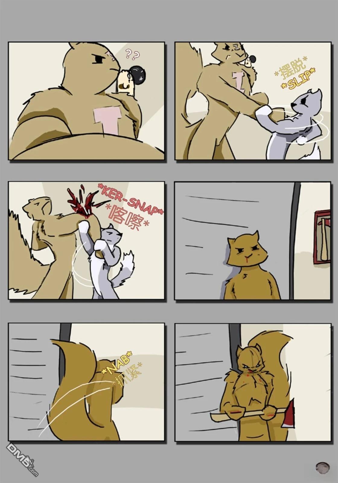 17.jpg