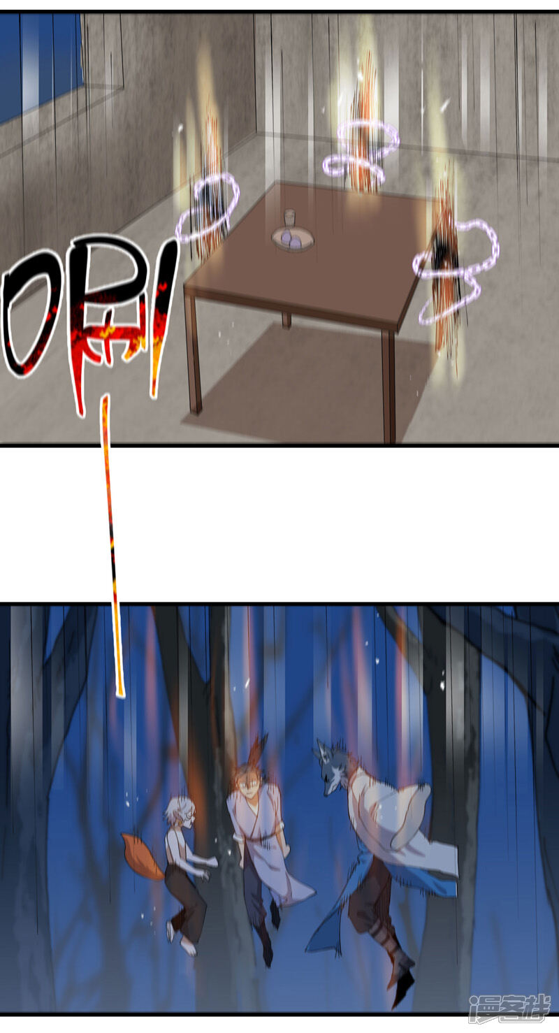 11.jpg