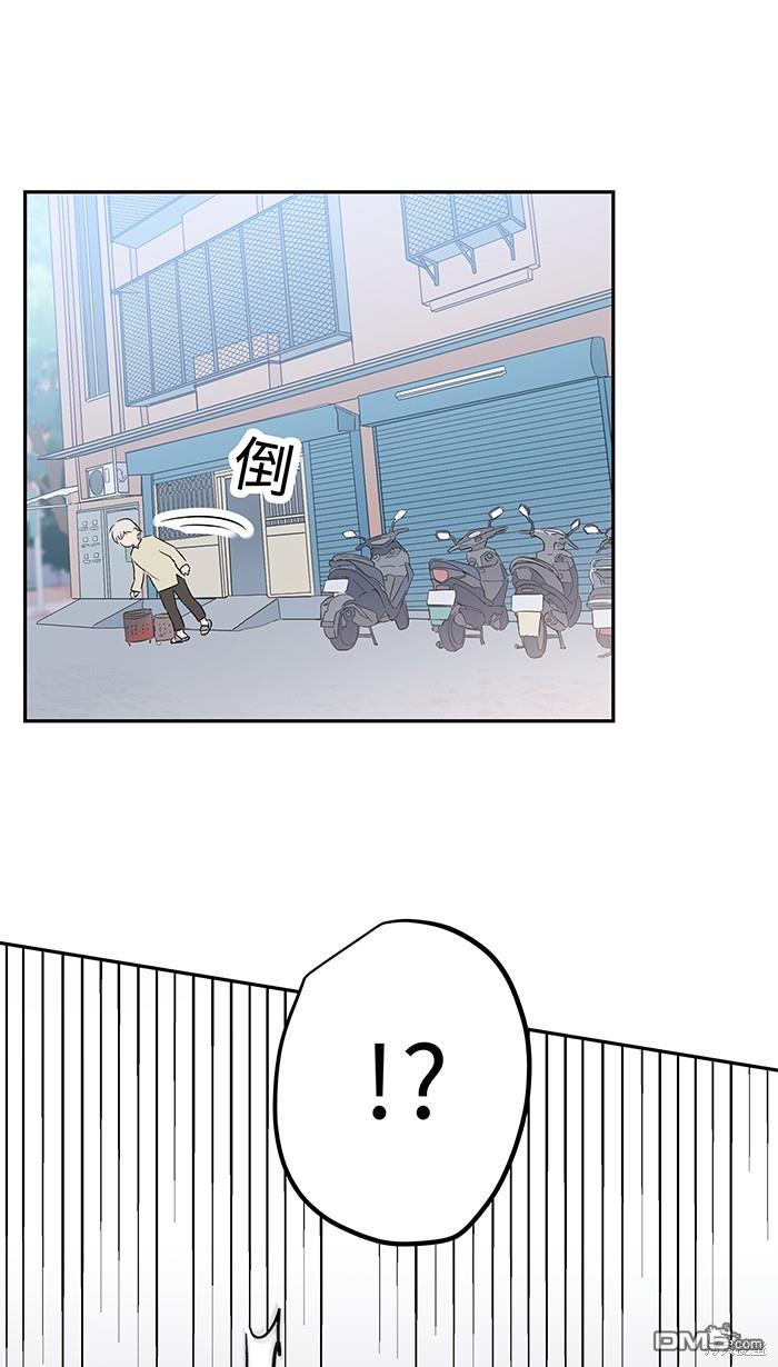 46.jpg