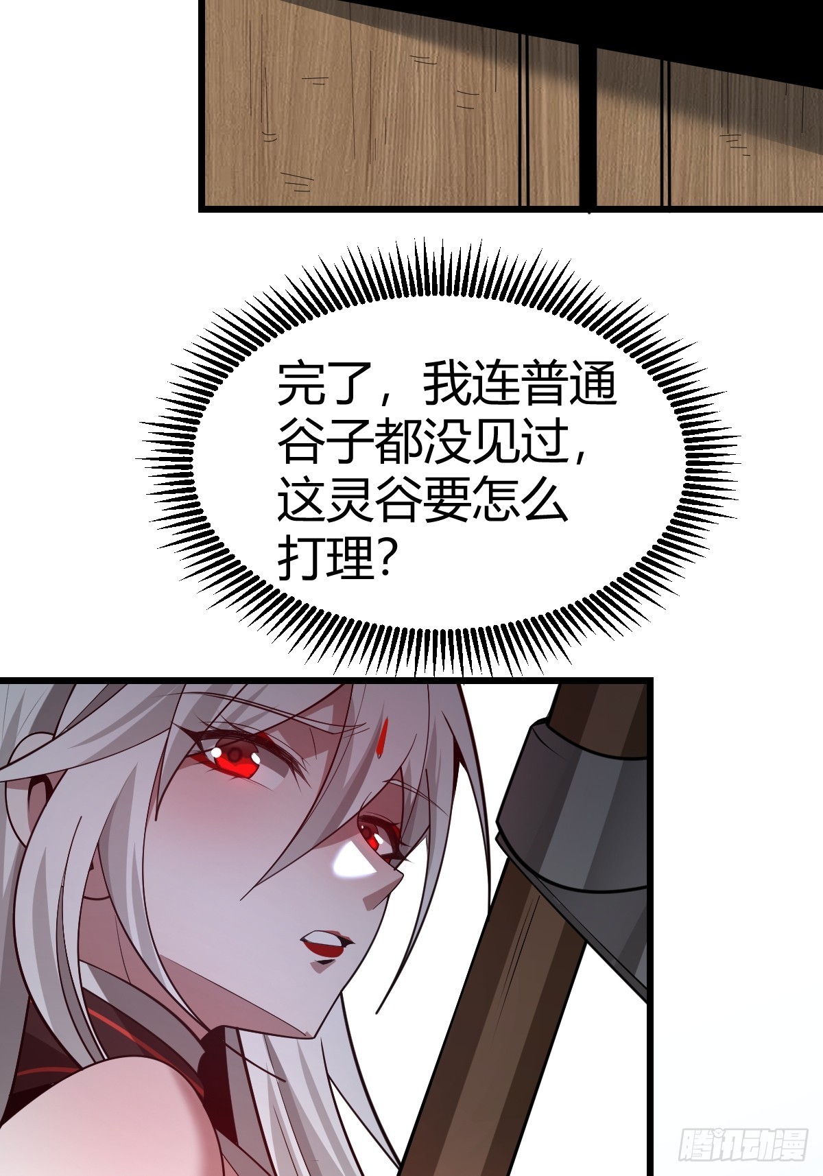 31.jpg