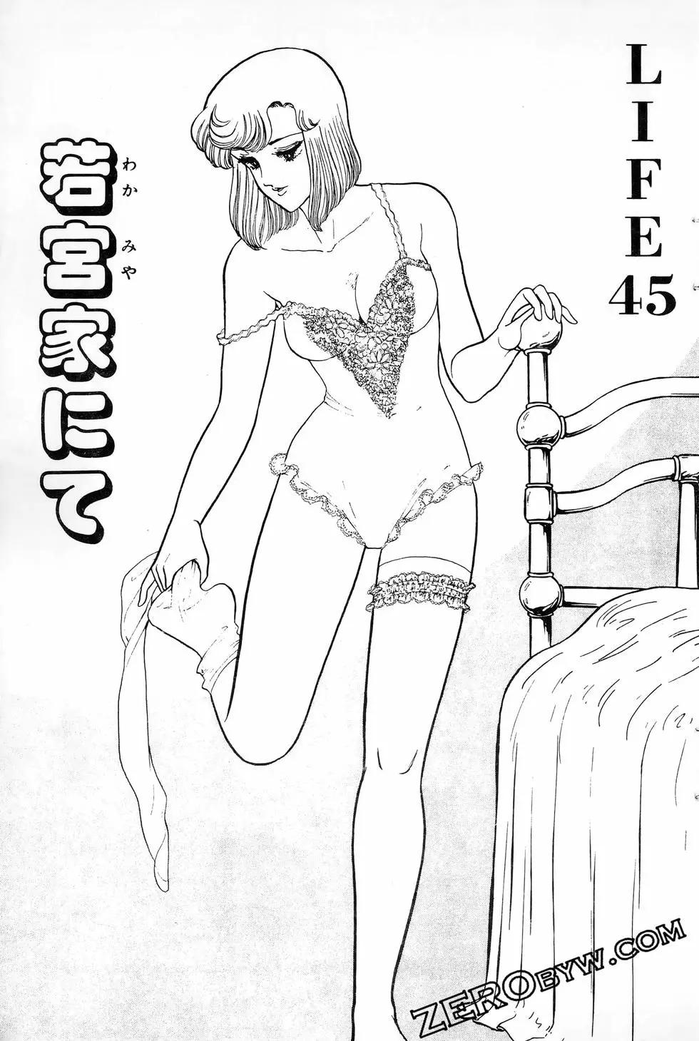 31.jpg