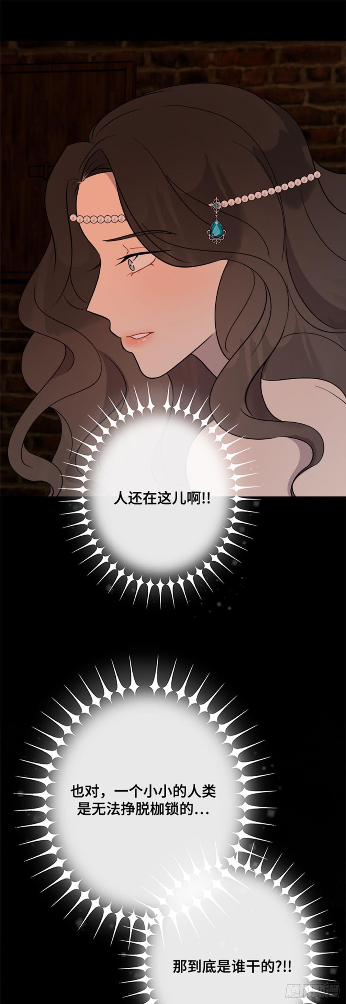 48.jpg