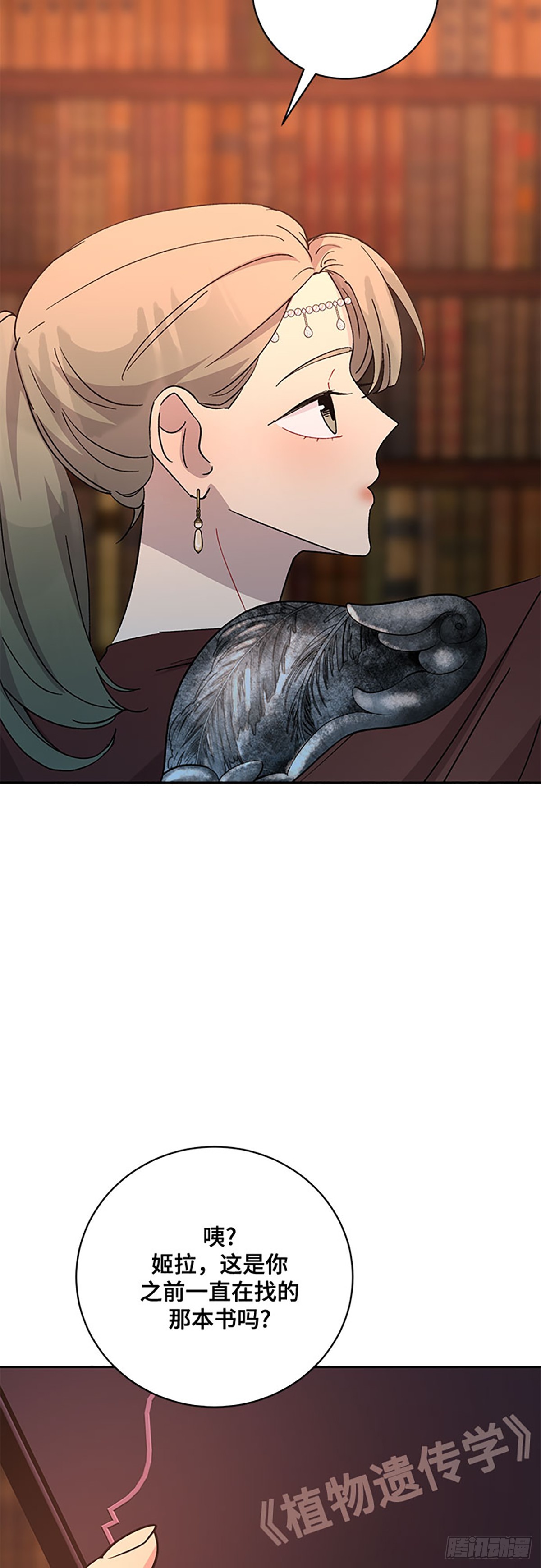 40.jpg