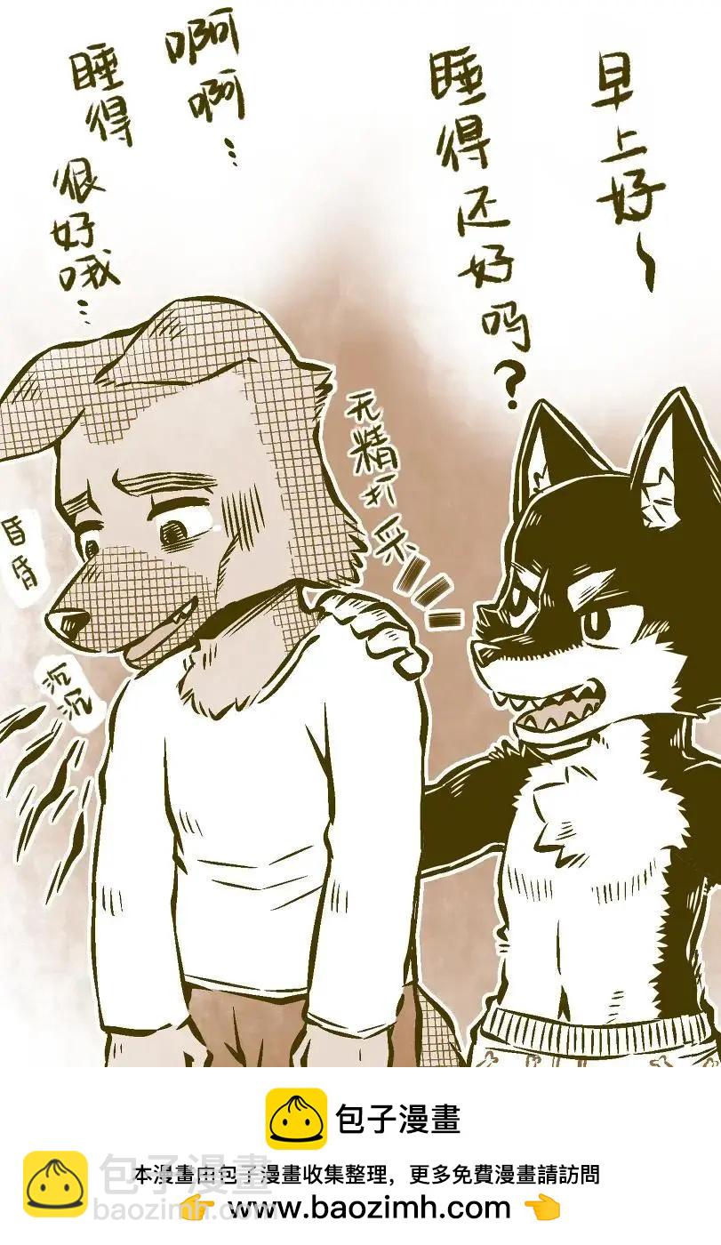 12.jpg
