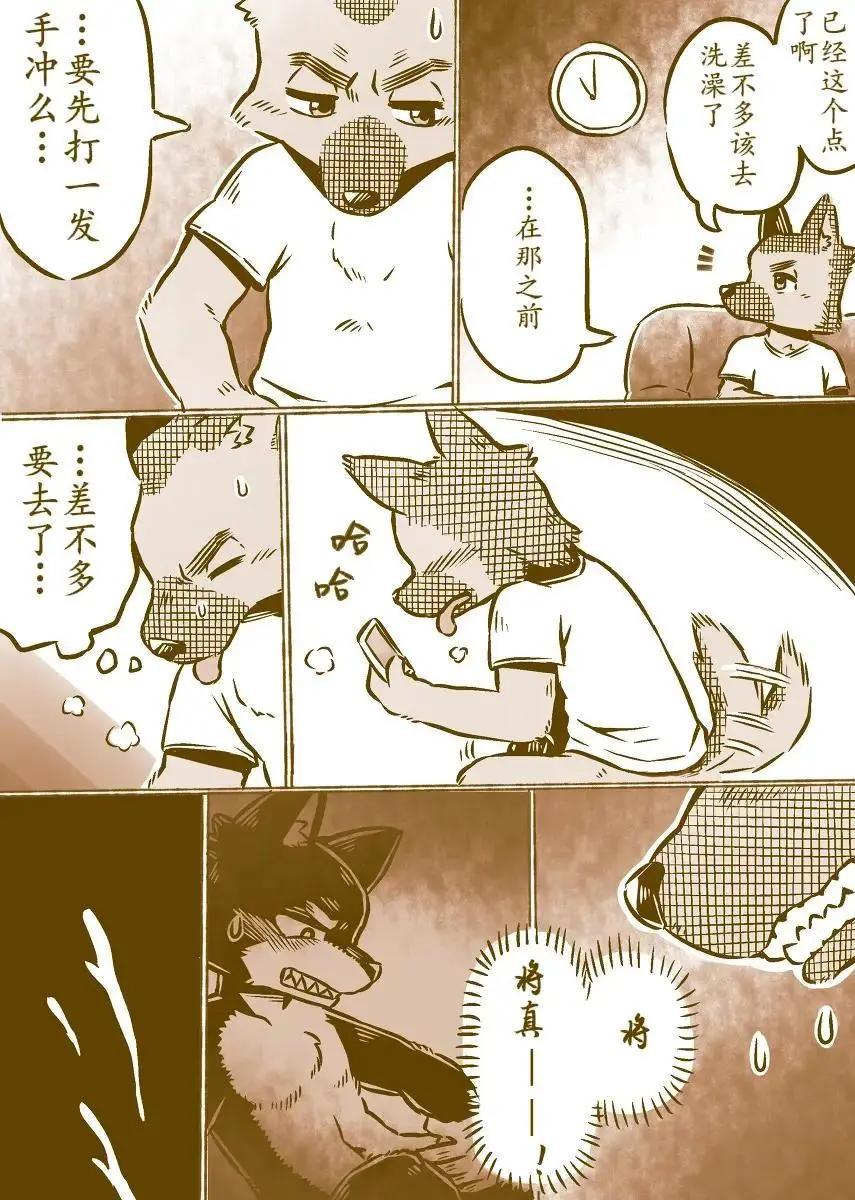 3.jpg