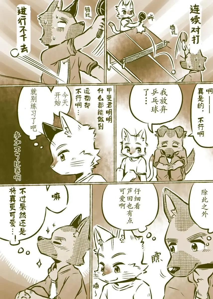 7.jpg