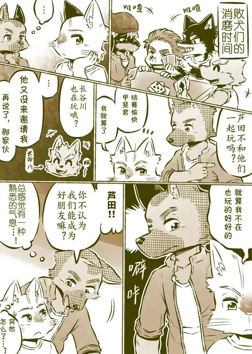 6.jpg