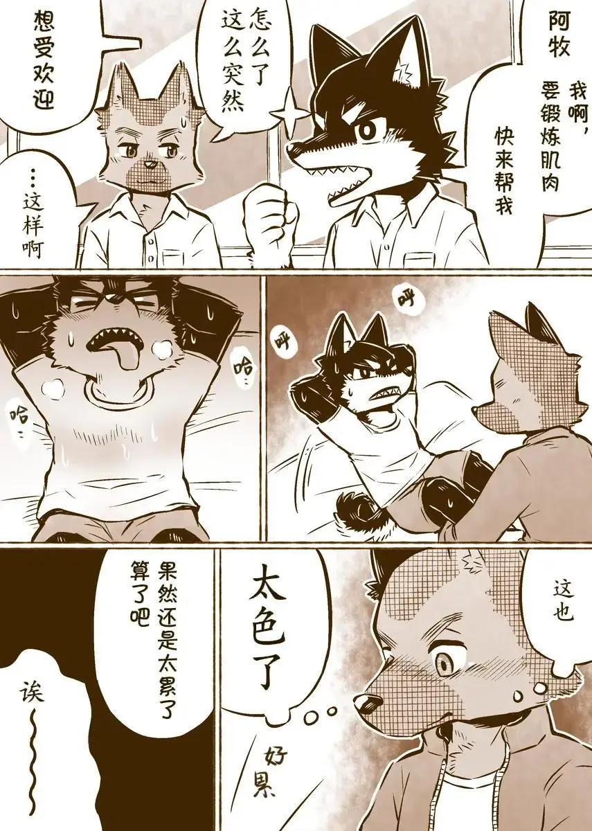 4.jpg