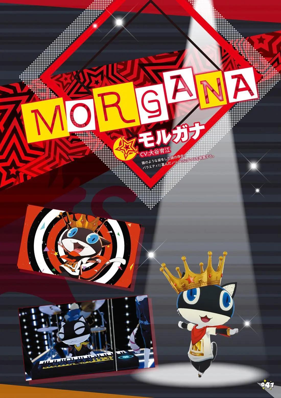 47.jpg