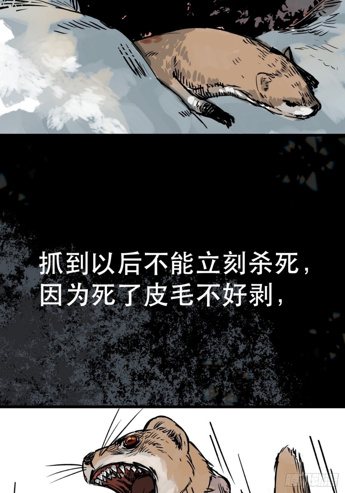 29.jpg