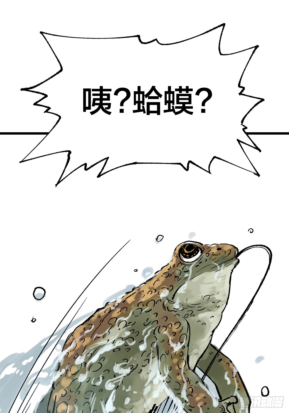 29.jpg