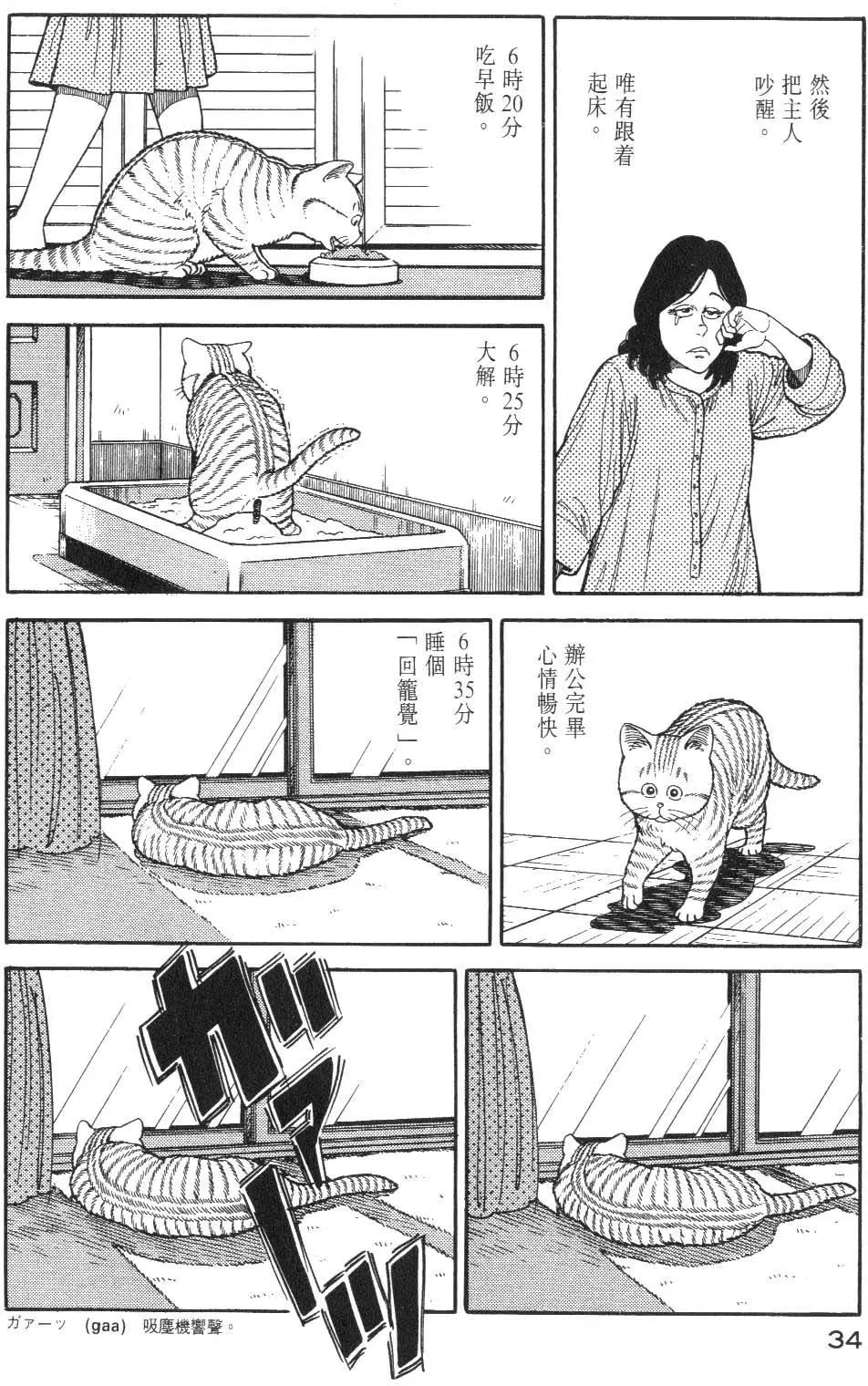38.jpg