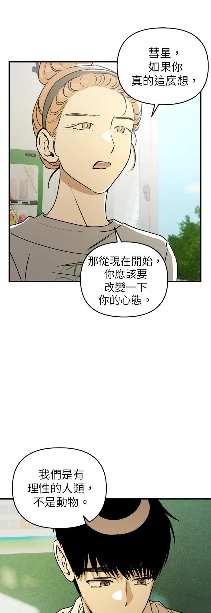 41.jpg