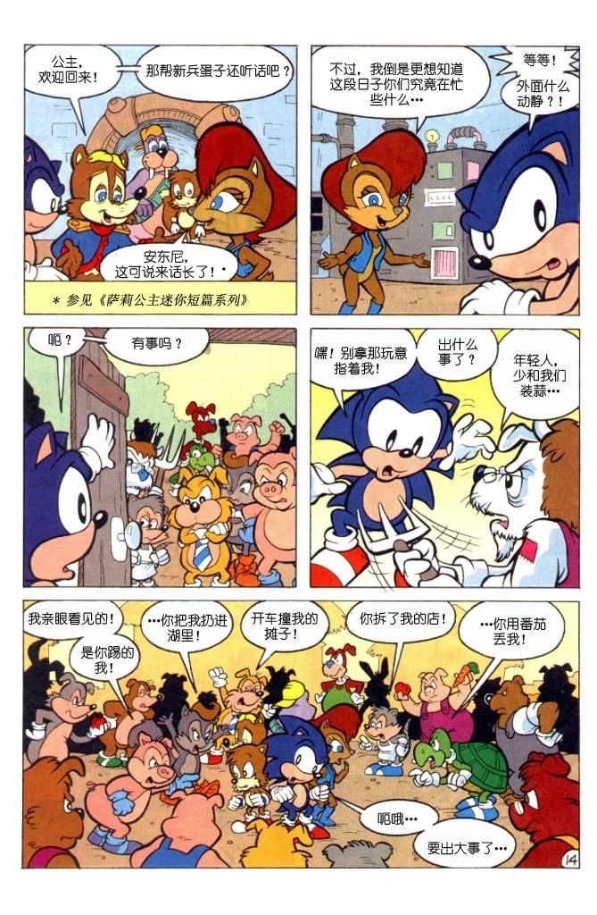 15.jpg