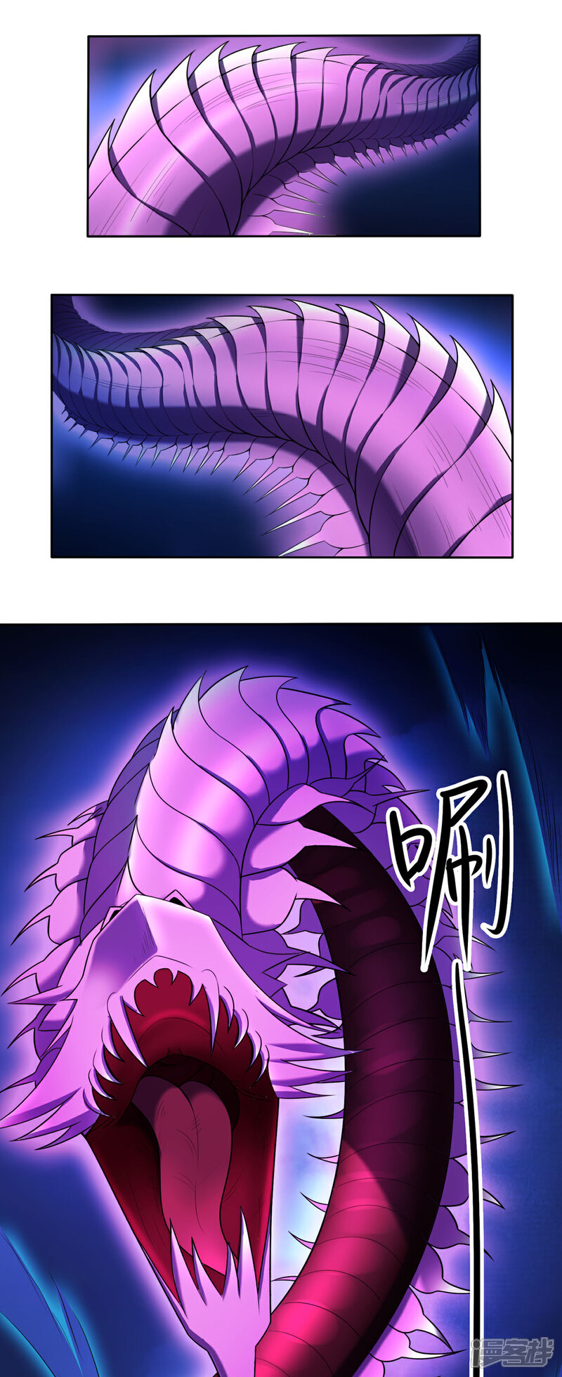 12.jpg