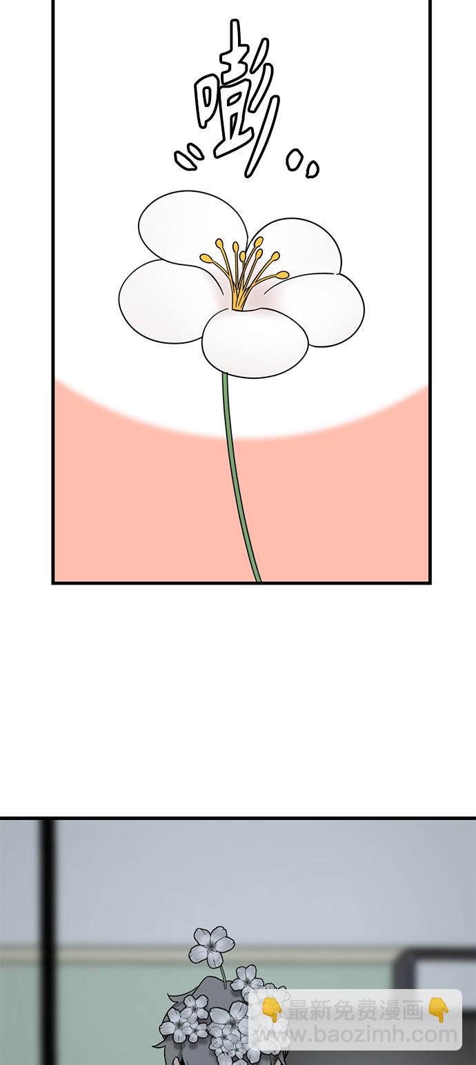 41.jpg