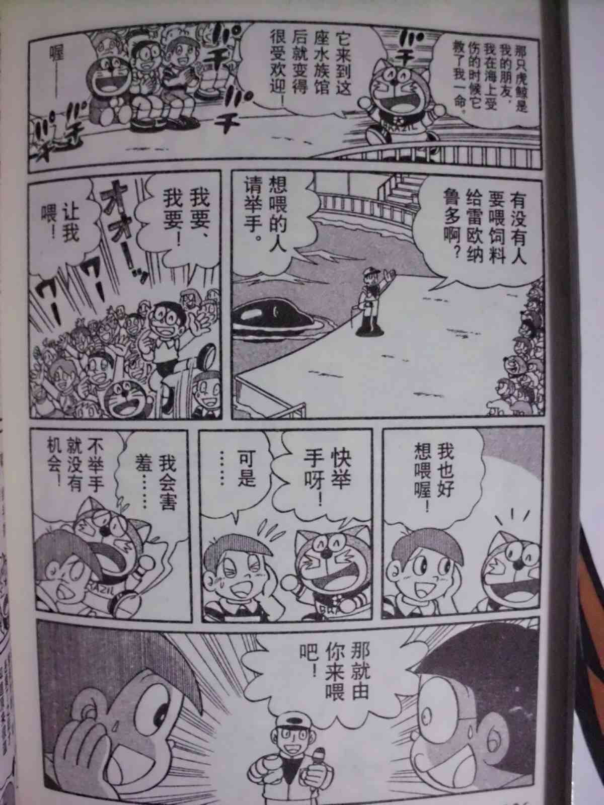 137.jpg