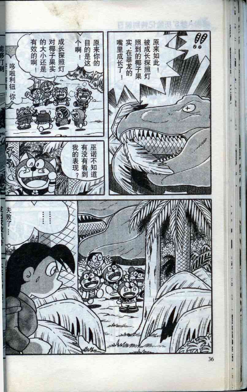 36.jpg