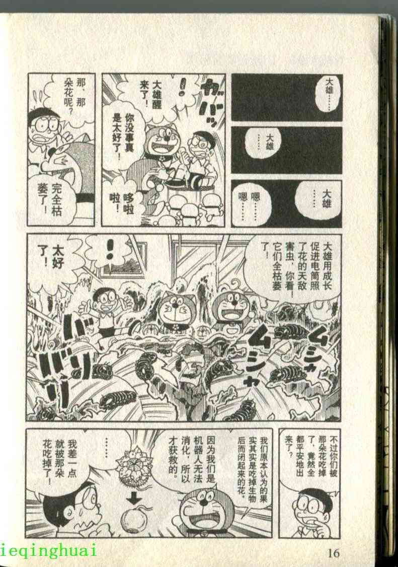 14.jpg