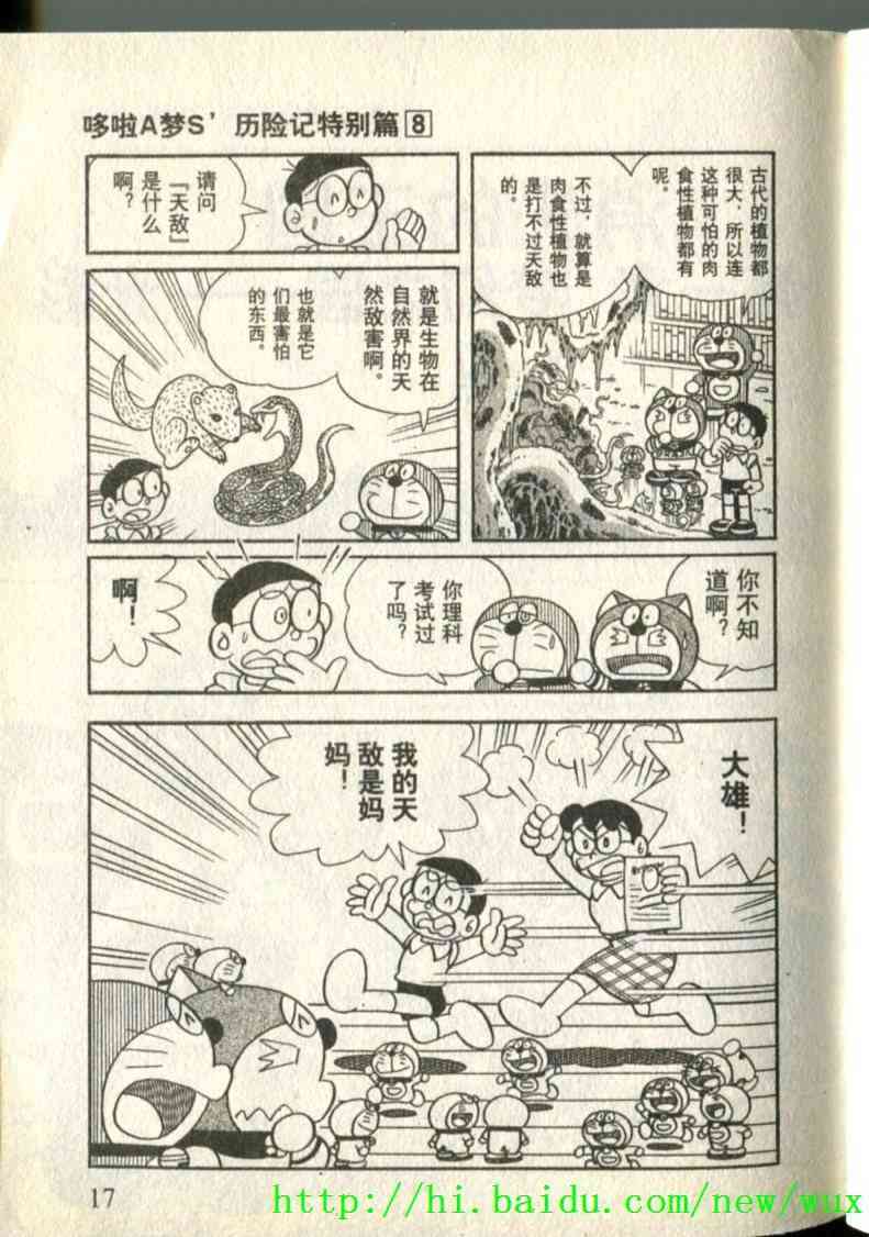 15.jpg
