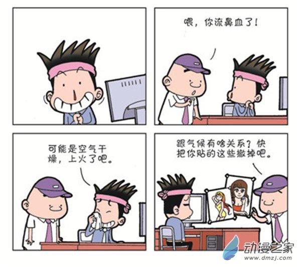 5.jpg