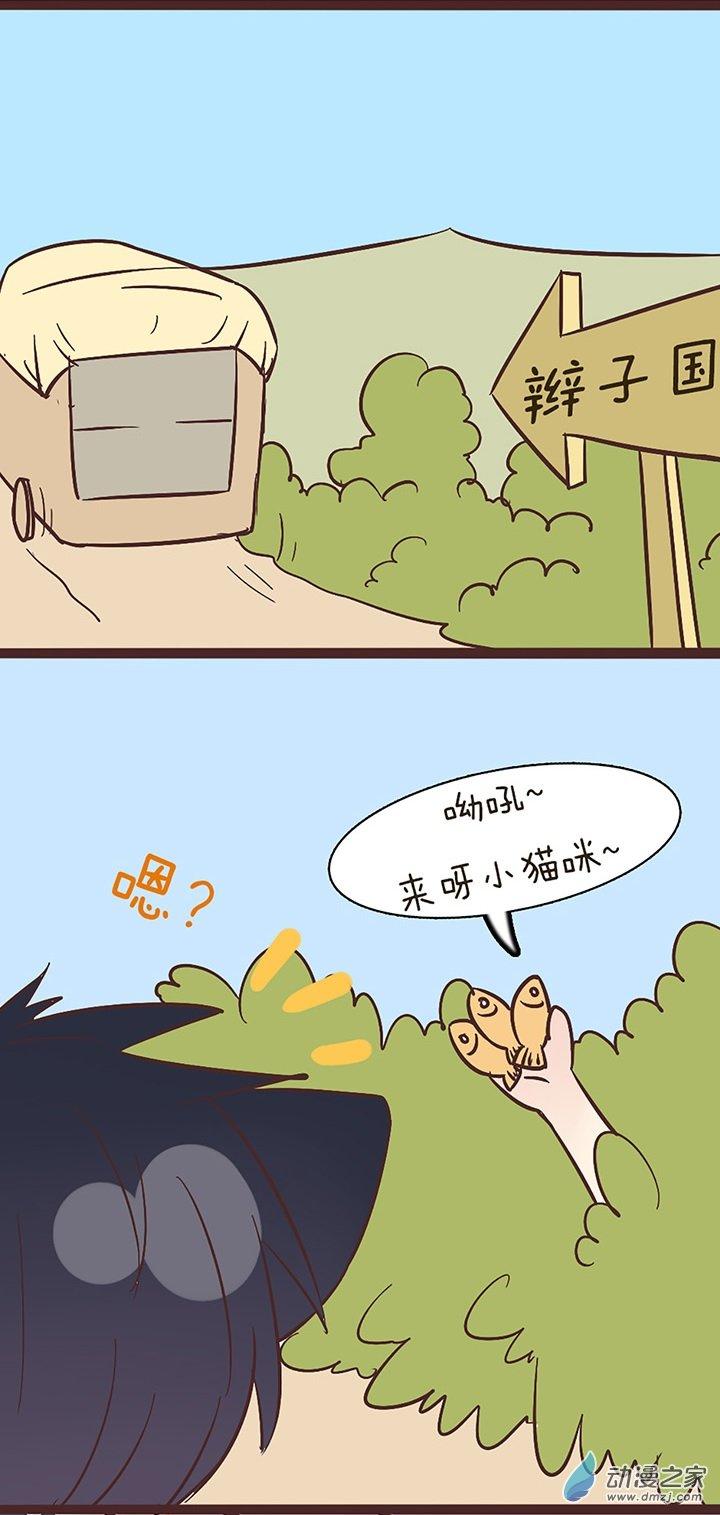 14.jpg