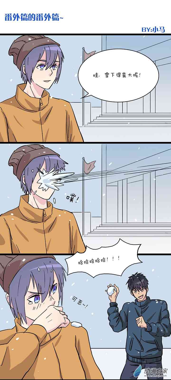 15.jpg
