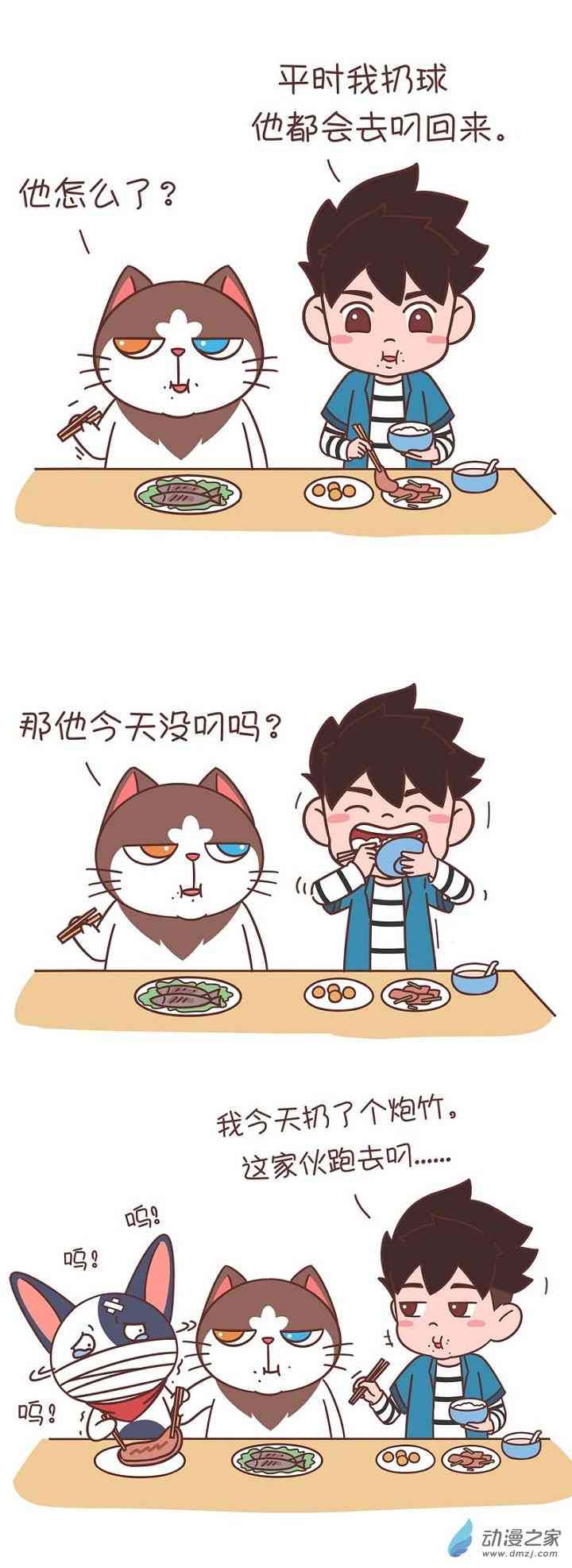 2.jpg