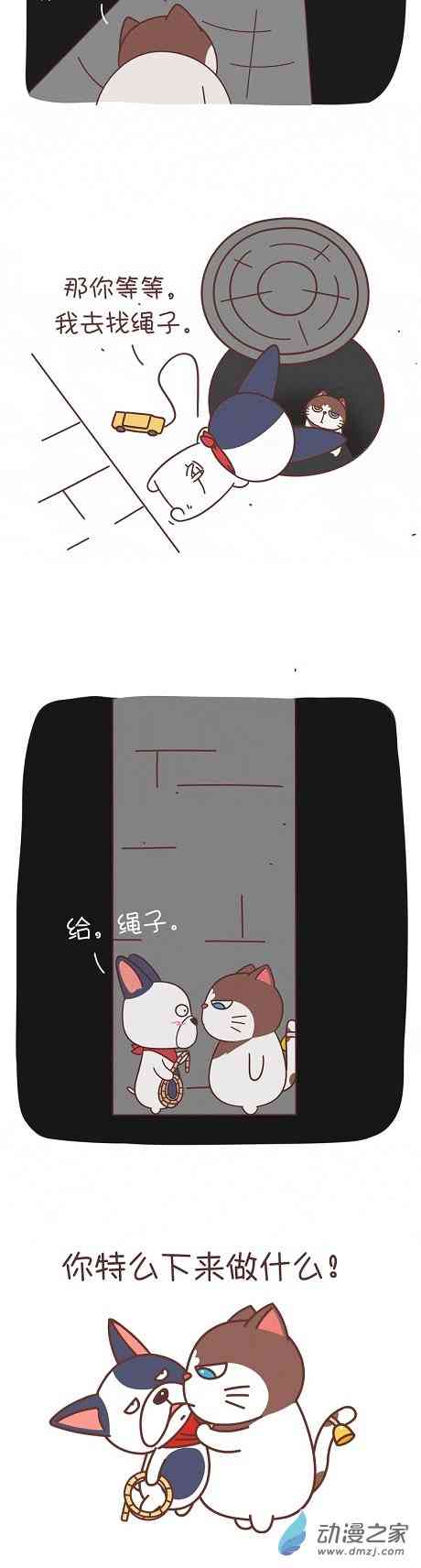 2.jpg