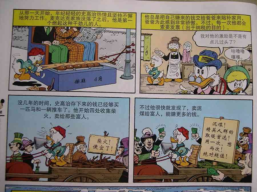 15.jpg
