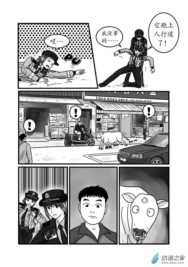 26.jpg