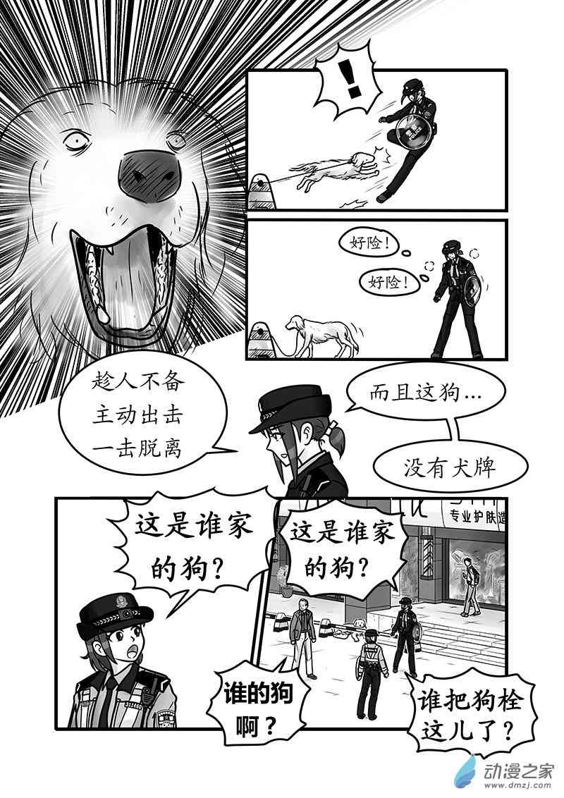 26.jpg