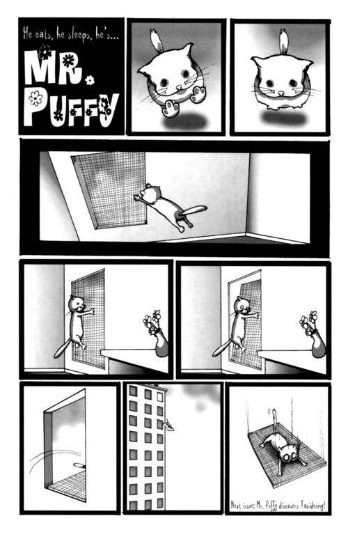 24.jpg